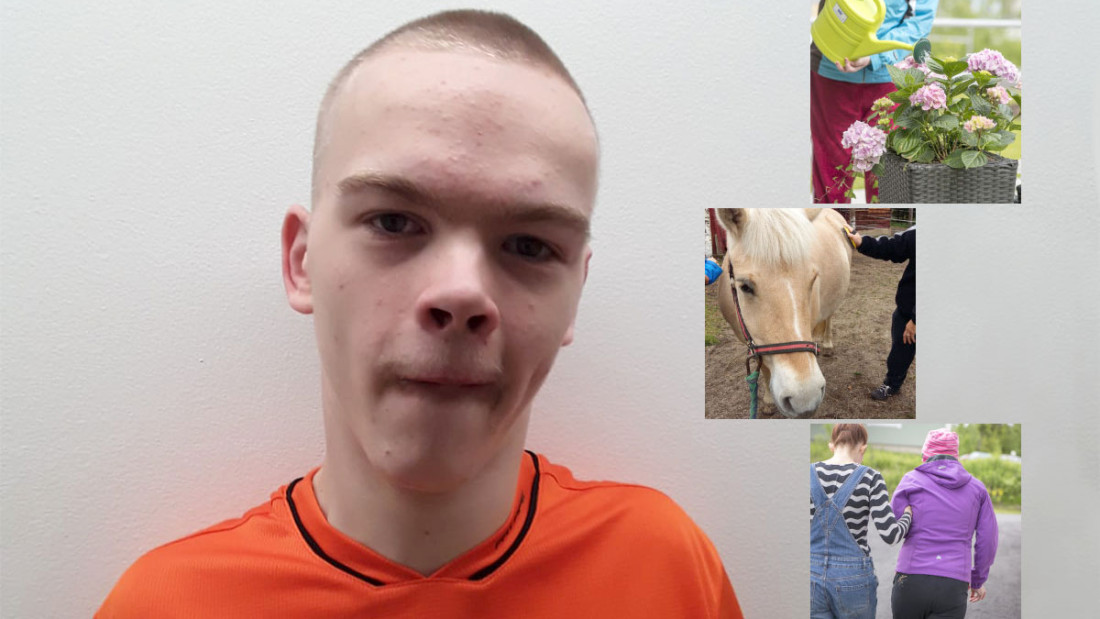 Opiskelija Jarno ja kolme pikkukuvaa kesätöistä: kukkien kastelu, hevonen ja käsikynkkää kulkevat ihmiset.