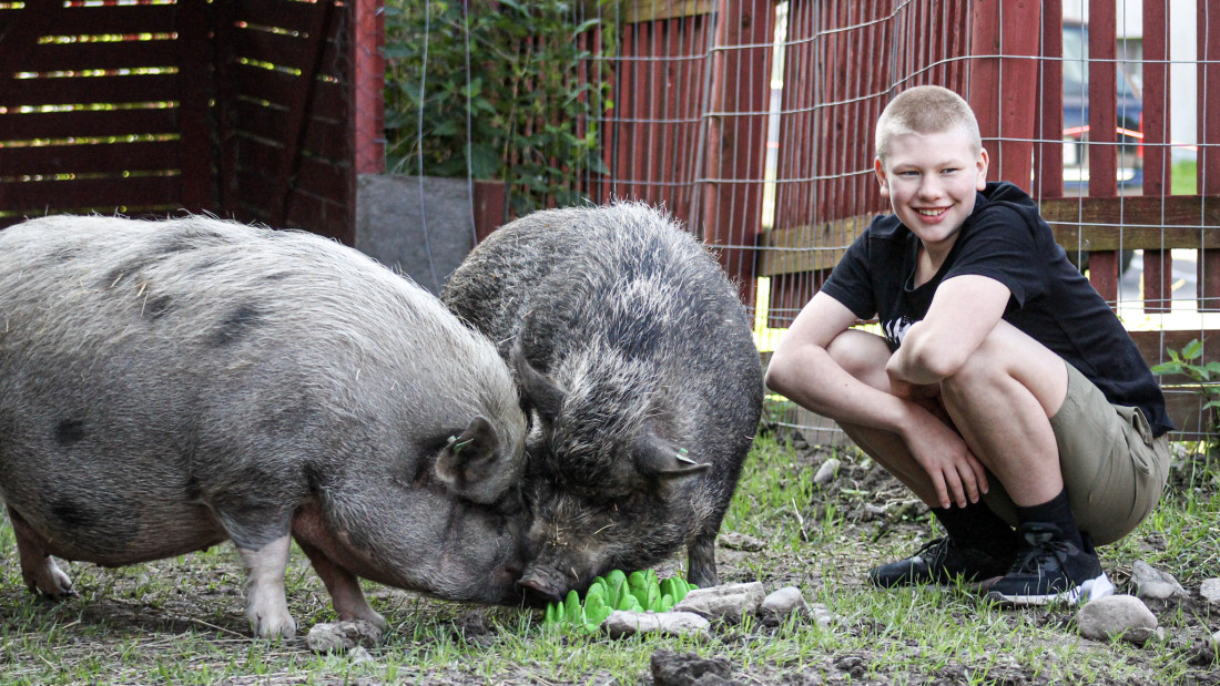Hymyilevä nuorimies kyykyssä kahden tonkivan possun vieressä.