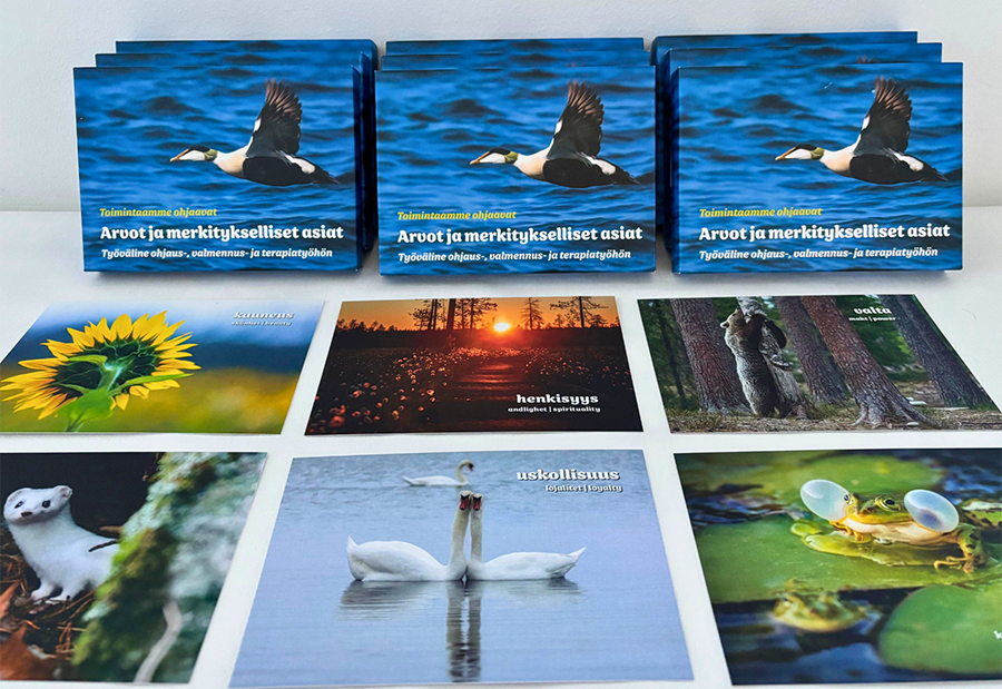 Arvokorttipakkoja ja -kortteja aseteltuna pöydälle.