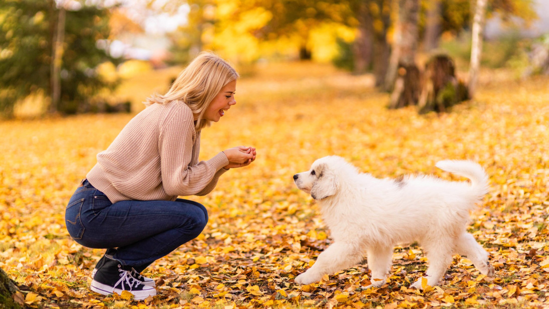 Nainen ja valkoinen koiranpentu syksyisessä luonnossa.