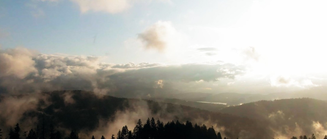 Ilmakuva metsästä jonka taustalla pilviä ja usvaa taivaalla.