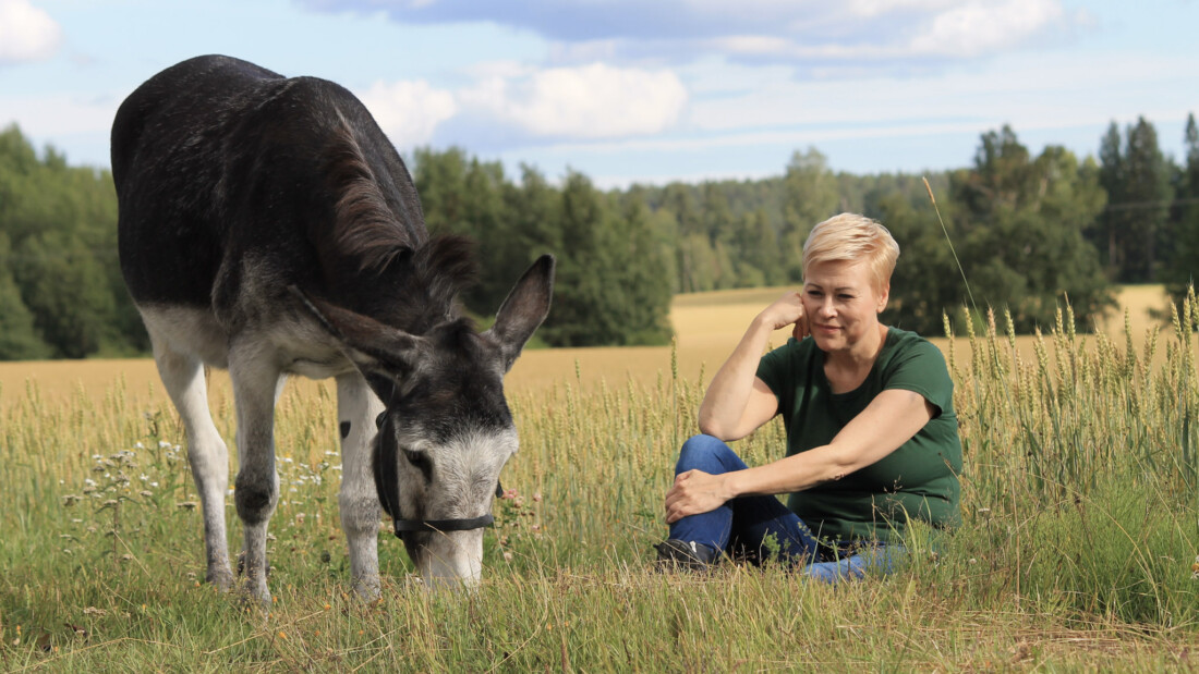 Eläinkuusikon Tanja Paasonen istuu niityllä ja katselee vieressä ruohoa syövää aasia.